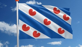 Vlag Friesland 2 800X567
